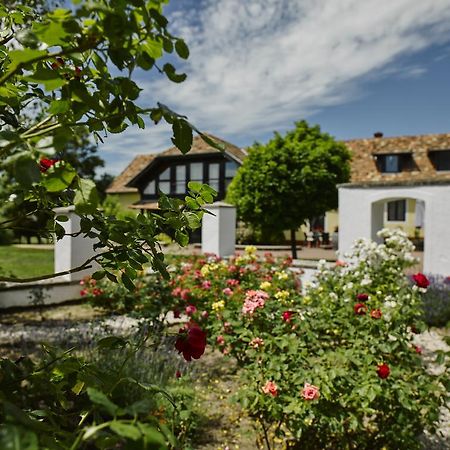 Videki Haz Guest House Tagyon Eksteriør bilde