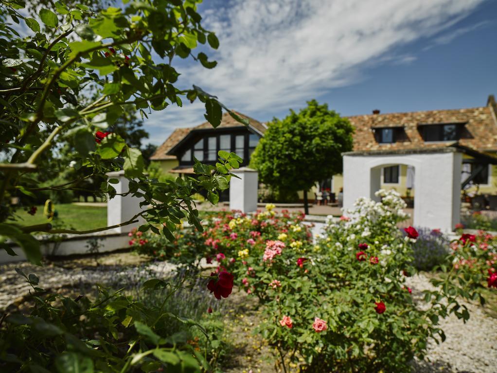 Videki Haz Guest House Tagyon Eksteriør bilde